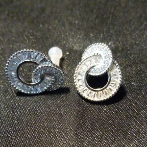 Elegant Silver Loop Earrings